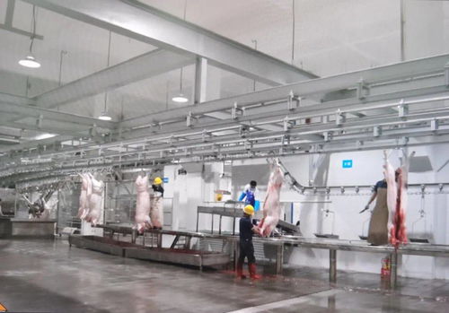 民生實(shí)事喜結(jié)碩果 區(qū)肉聯(lián)廠遷建項(xiàng)目一期工程竣工驗(yàn)收并投入運(yùn)營(yíng)